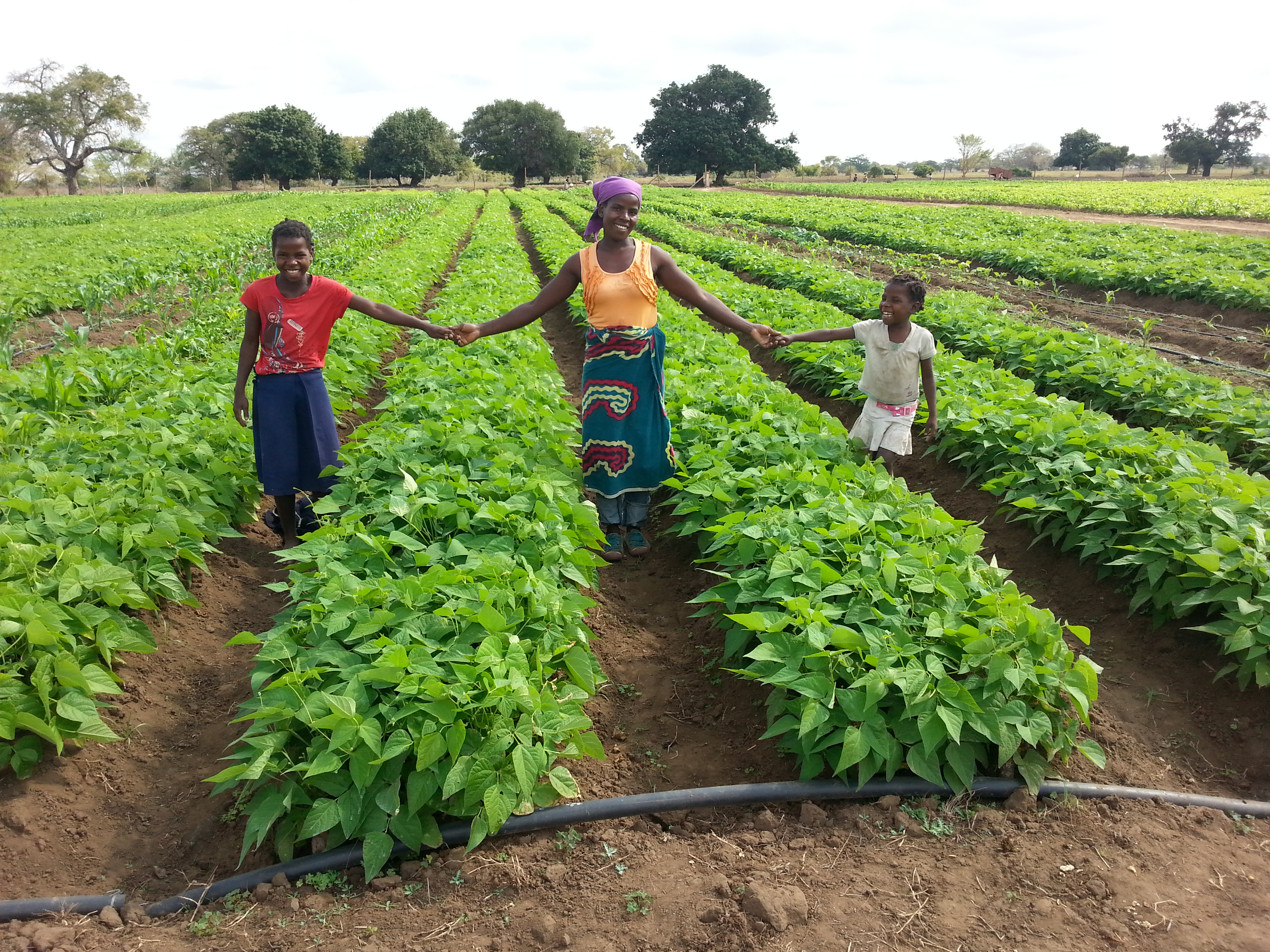 Unidos podemos fazer a <span style=color:#79d431;>diferença</span>