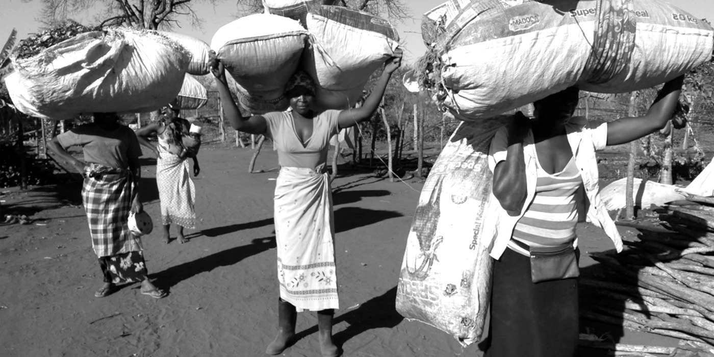 Juntos fazemos a <span style=color:#79d431;>diferença</span>