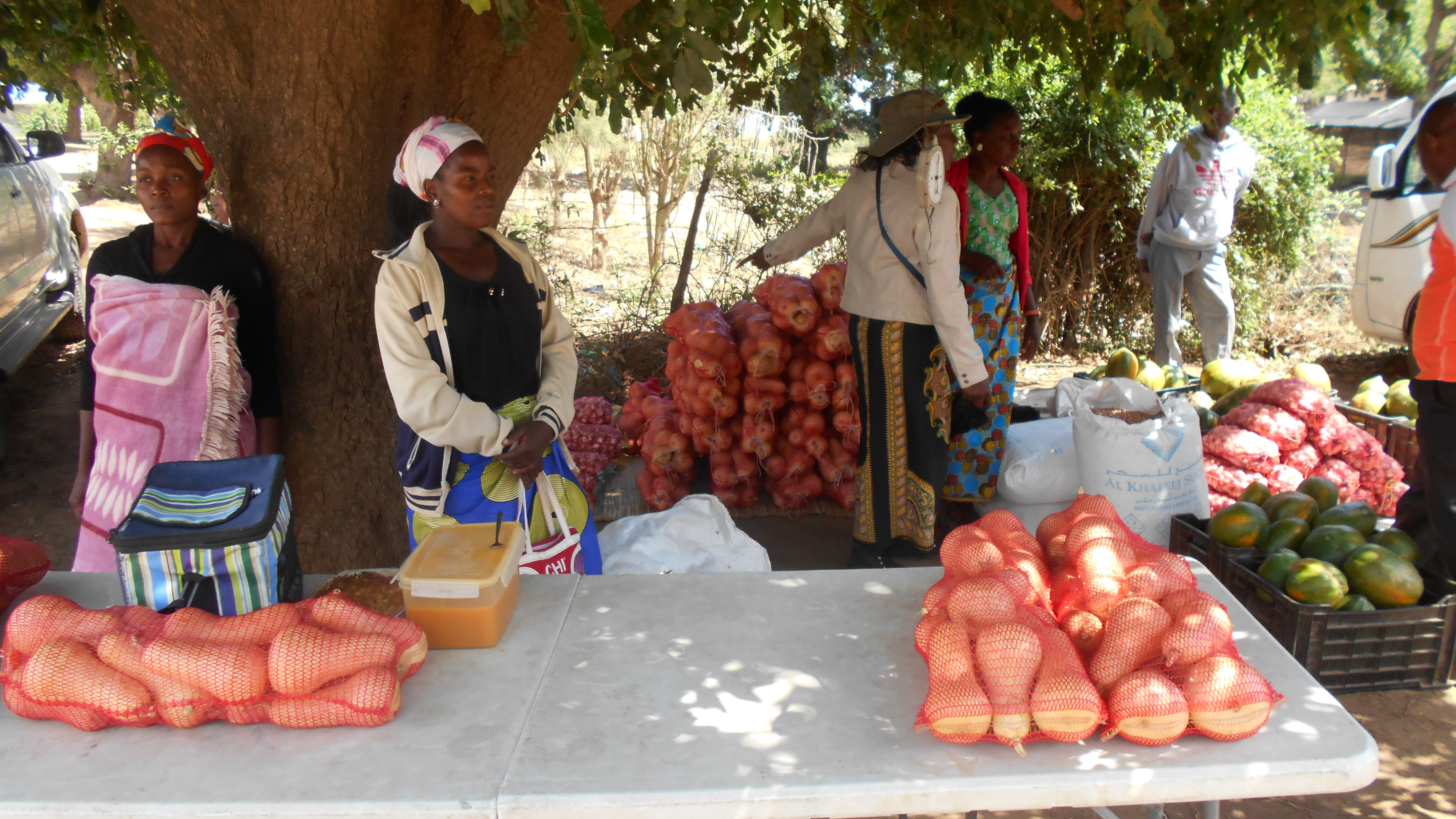 Sustentabilidade e Agronegócio