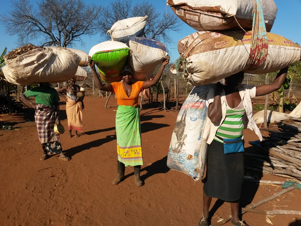 Juntos podemos fazer a <span style=color:#79d431;>diferença</span>