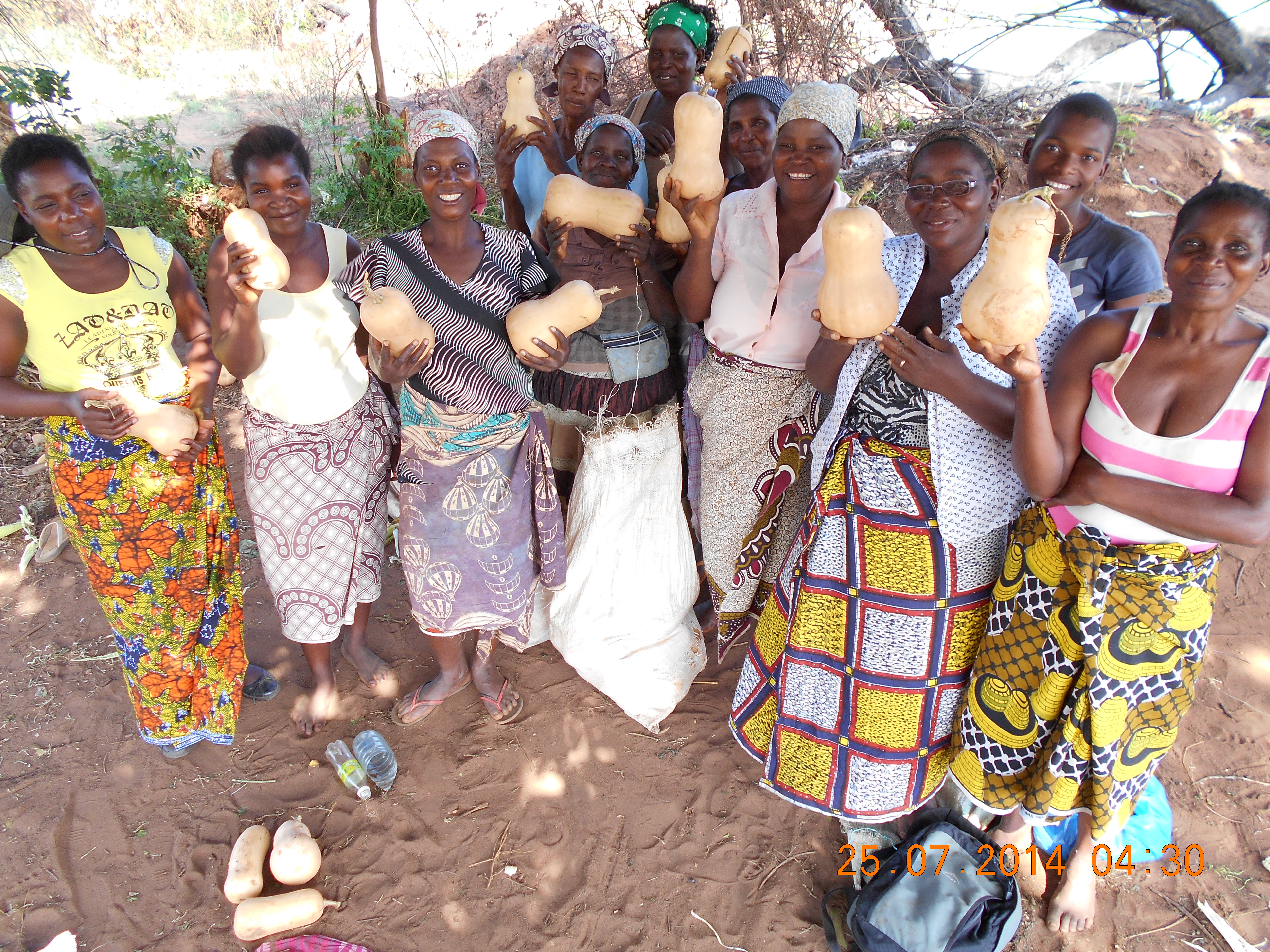 Sustentabilidade e agronegócio