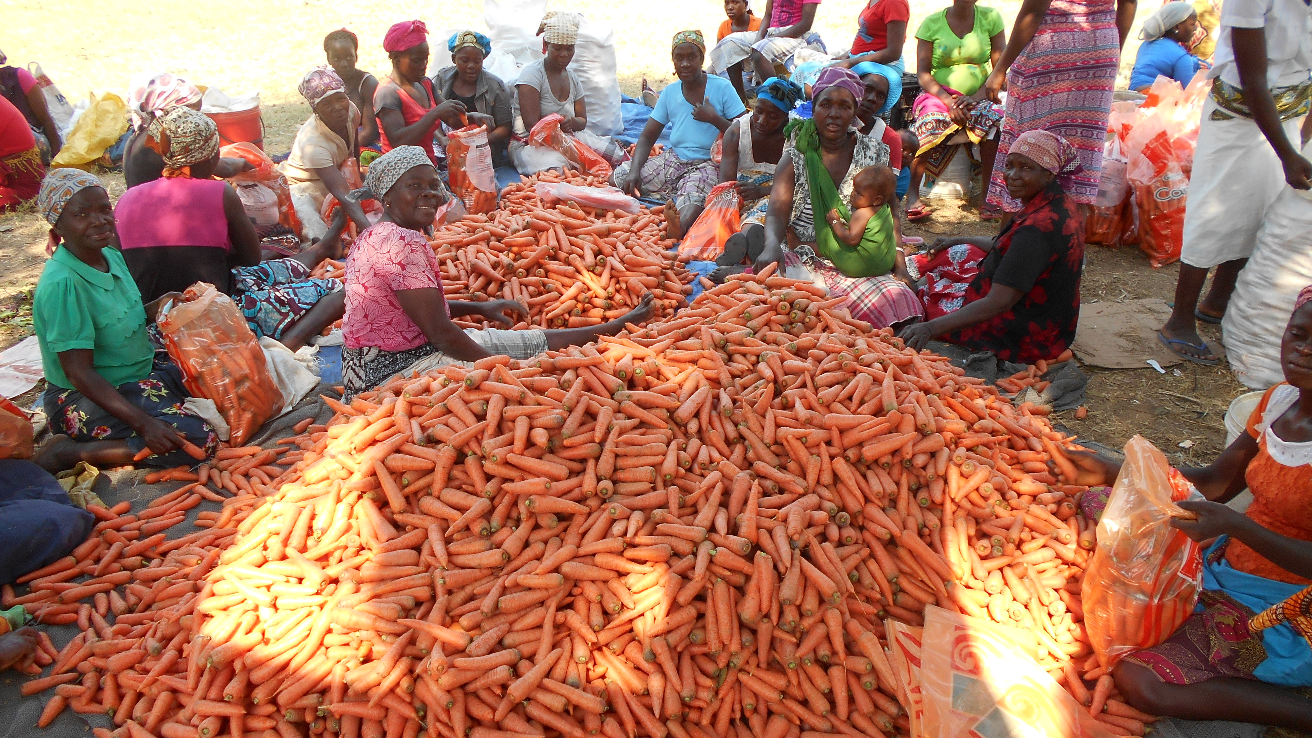Sustentabilidade e agronegócio