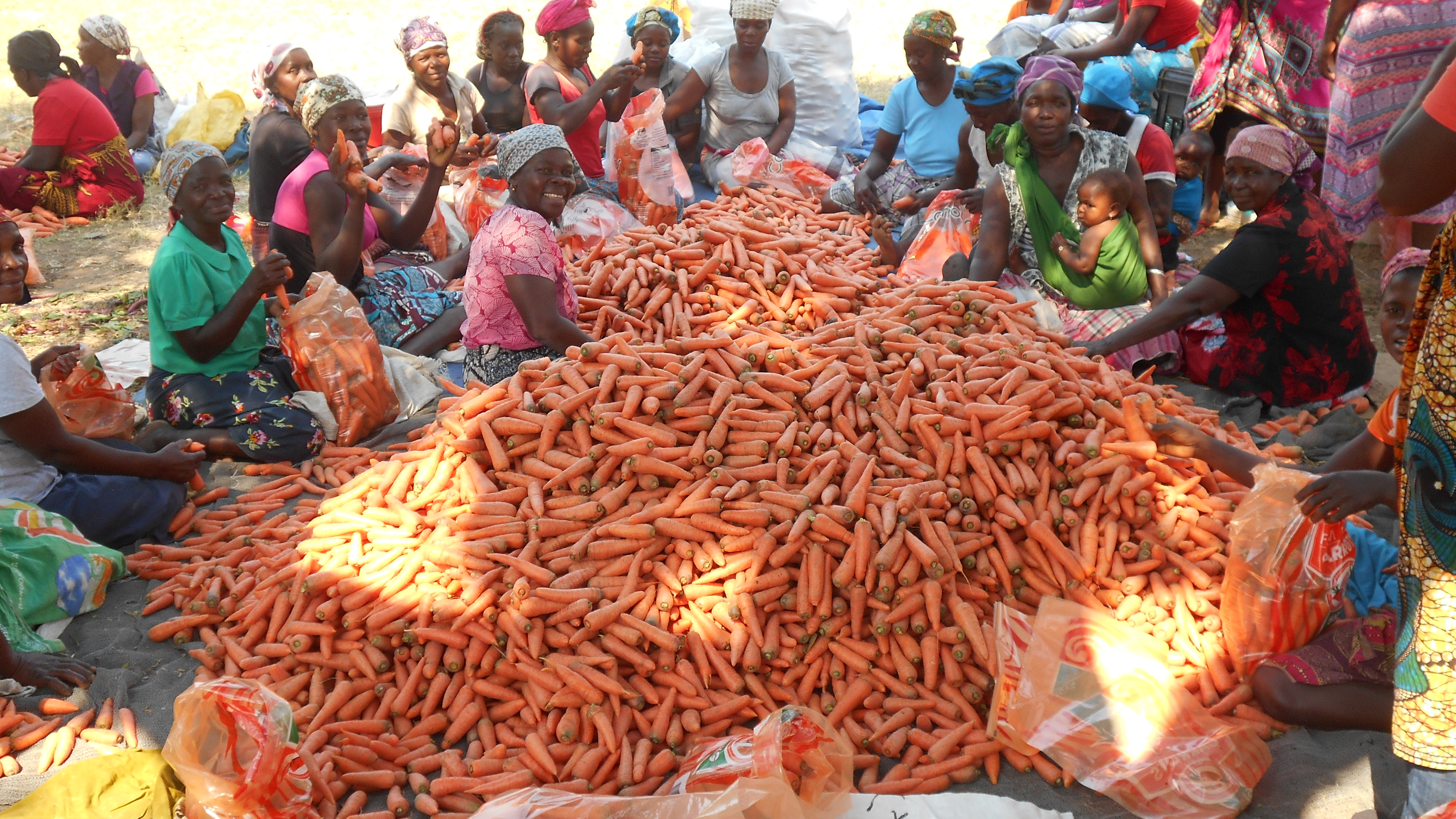 Sustentabilidade e agronegócio