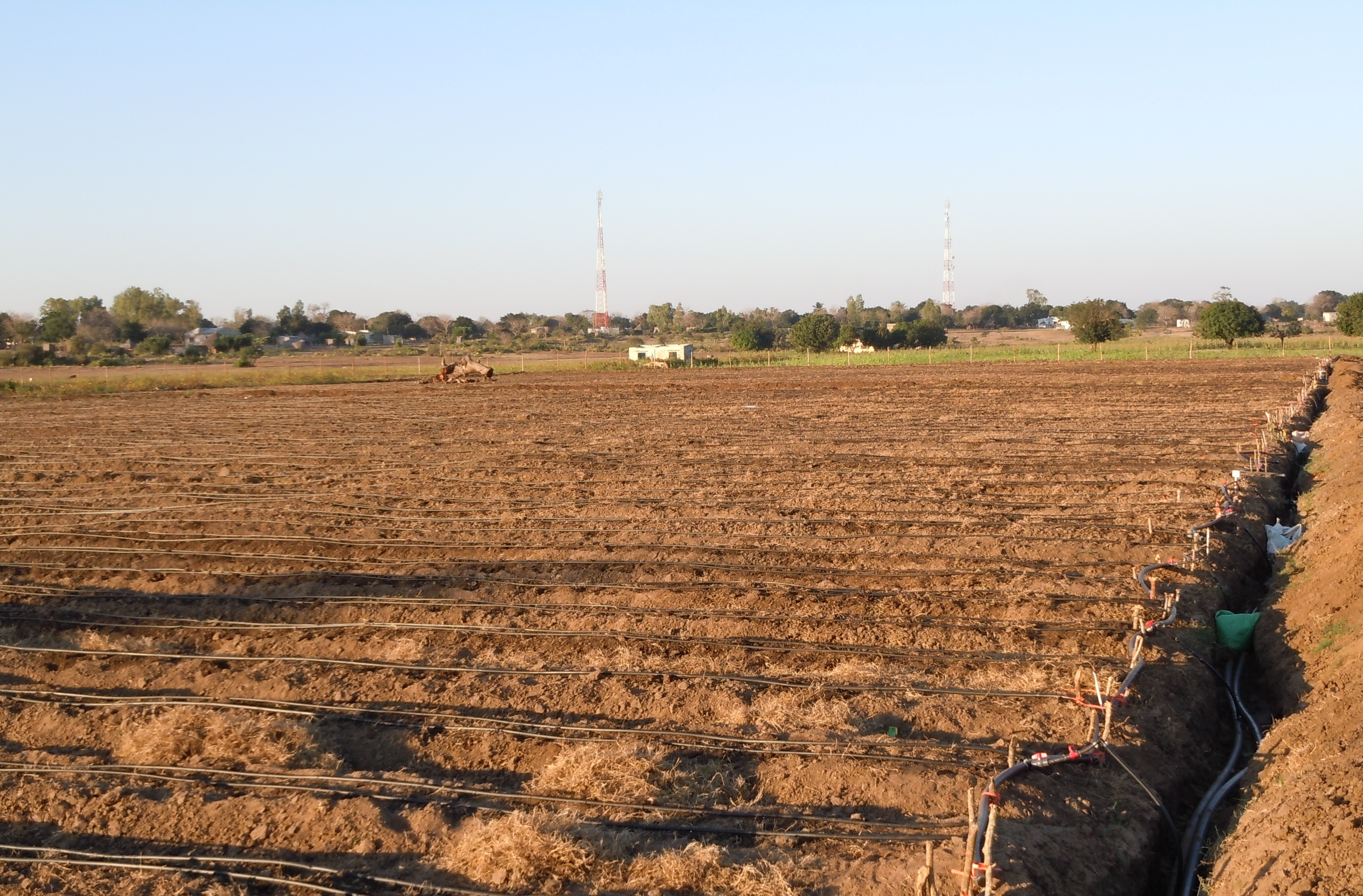 Sustentabilidade e Agronegócio - Mohambe