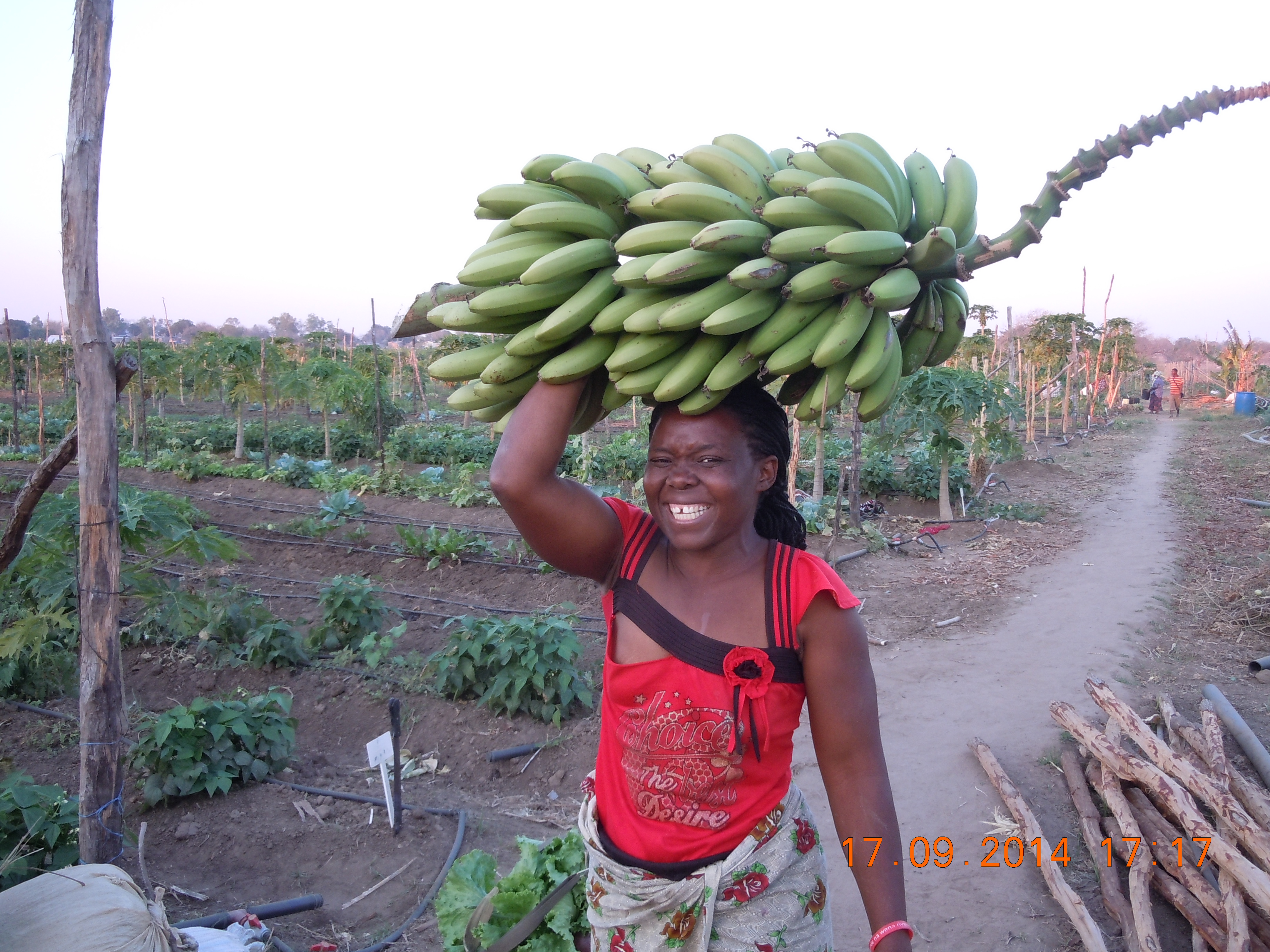 Via de acesso da Associação de Banhela e Chaimite